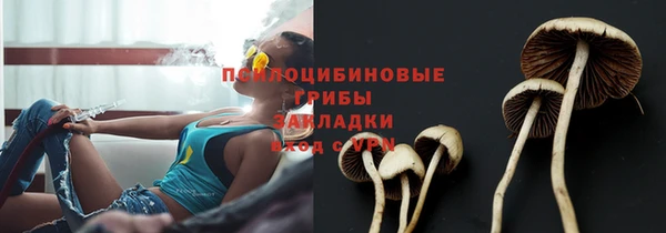 дживик Алексеевка