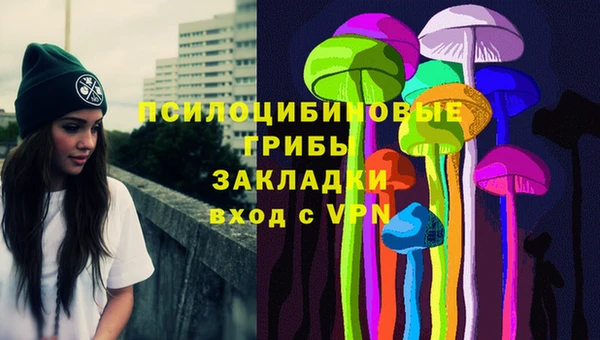 молекула духа Покров
