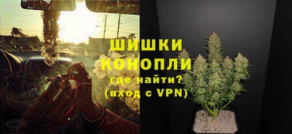 прущие крисы Аркадак