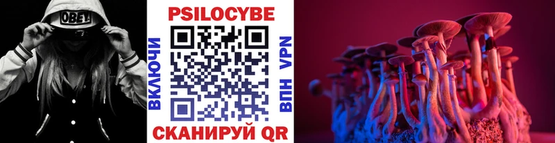 Галлюциногенные грибы GOLDEN TEACHER  Рославль 